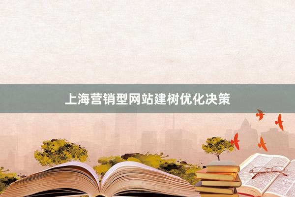 上海营销型网站建树优化决策